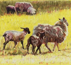 Em seguida, 2011 (lápis colorido sobre papel)